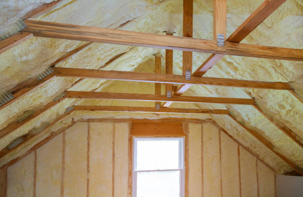 Best Insulation Maintenance and Repair in Santee, CA